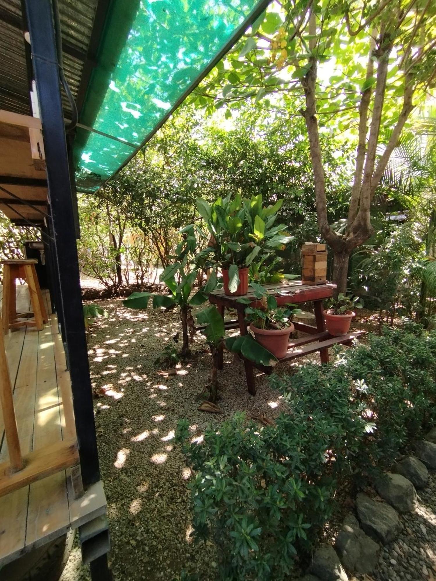 Chill-Inn Nosara Extérieur photo